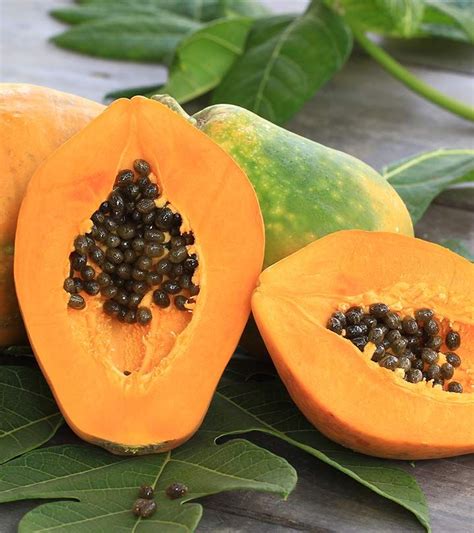13 Side Effects Of Papaya Sources Of Dietary Fiber Papaya Fruit
