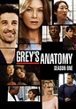 Anatomía de Grey Temporada 1 - SensaCine.com