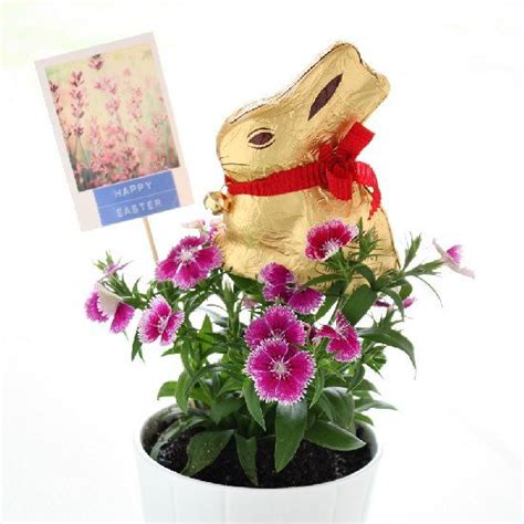 Make A Pretty Easter T Or Easter Flower Centrepiece Using A Pot Of