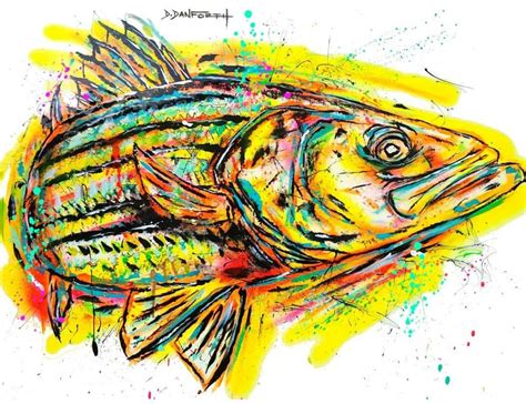 A Multitude Of Fins Striped Bass Illustrations And Wildlife Art