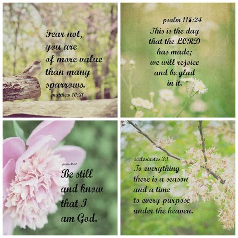 Items Similar To Nature Bible Verse Prints Set Scripture Art Christian