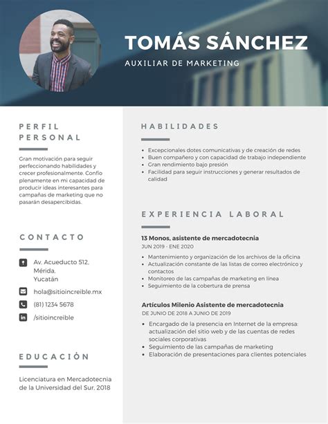 Hacer Curriculum Vitae Gratis Template For U