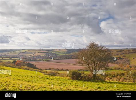 The Dorset Countryside Near To Cerne Abbas Stock Photo Alamy