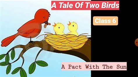 A Tale Of Two Birds A Pact With The Sun Class 6 English Youtube