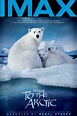 To the Arctic 3D (2012) | MovieWeb