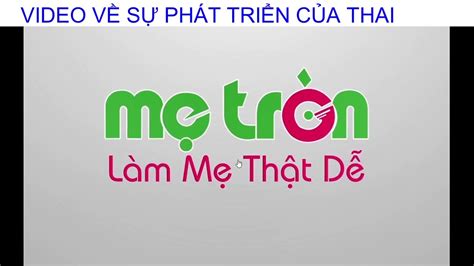BÀi 62 ThỤ Tinh ThỤ Thai VÀ SỰ PhÁt TriỂn CỦa Thai Sinh HỌc 8 Youtube