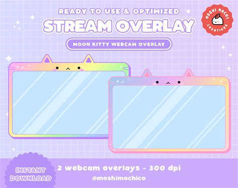 Twitch Cute Rainbow Cat Webcam Stream Overlay Streamer Etsy