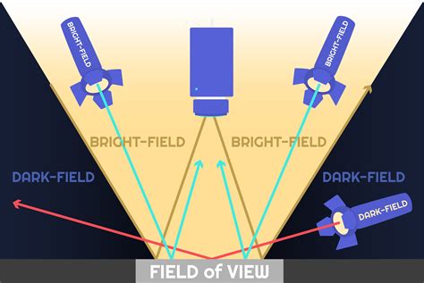 Bright Field And Dark Field Illumination