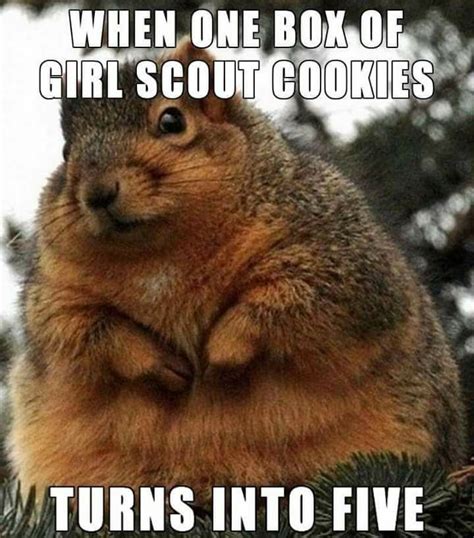 When One Box Of Girl Scout Cookies Turns Into Five