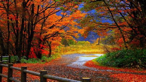 Amazing Nature Colorful Scene Hd Background Desktop Images