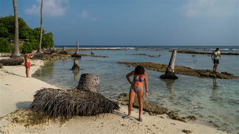 Ziemlich Frustrierend Parfüm No Bikini Beach Maldives Elektrifizieren