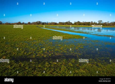 Flooded Meadow Linking Houghton And Hemingford Abbots Villages