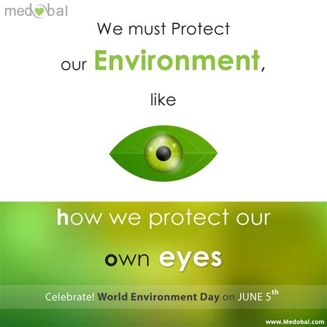 We Must Protect Our Environment Like We Protect Our Own Eyes Wed2016