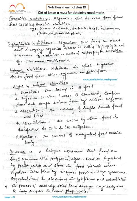 Nutrition in Animals class 10 Life process - JSUNIL TUTORIAL CBSE MATHS