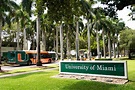 Universidade de Miami: Guia completo! | Vitoria Realty