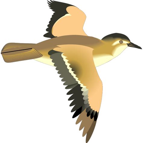 Flying Bird Png Svg Clip Art For Web Download Clip Art Png Icon Arts