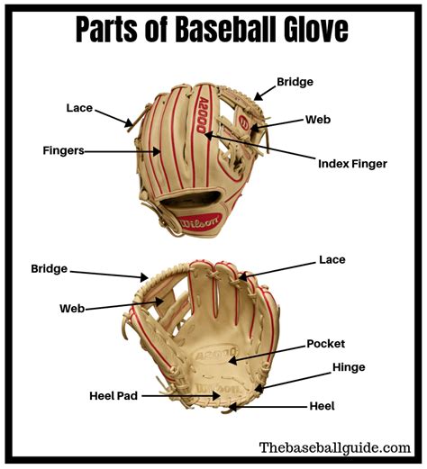 How To Measure A Youth Baseball Glove Baseball Glove Size Charts