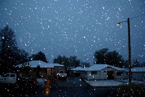 Falling Snow on Neighborhood Street at Night Picture | Free Photograph ...