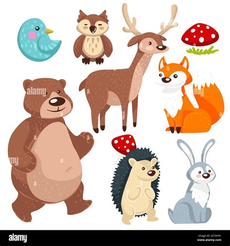 Woodland Animals Flora And Fauna Of Forest Vector Stock Vector Image