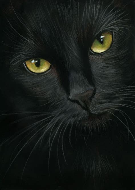 Black Cat Portrait Pastel Painting By Art It Art Black Cat Art Cat