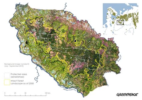Un Gran Acuerdo Para Salvar El Bosque Boreal De Dvinsky En Rusia El