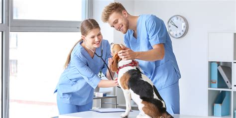 However, those average salaries differ according to location. NCTC - Online Veterinary Assistant Training