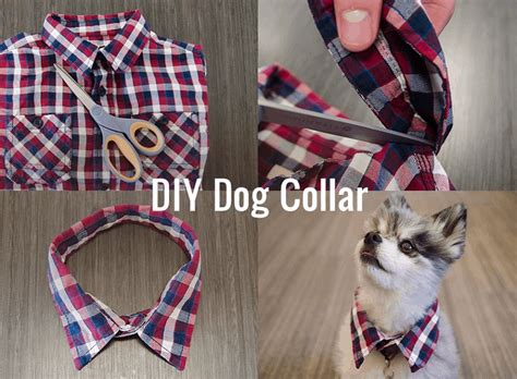 Adorable Diy Dog Collars To Make Walk Time Extra Stylish
