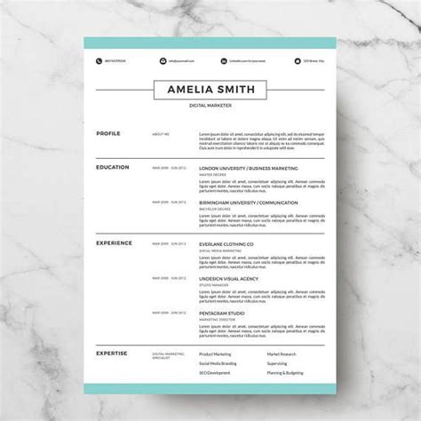 Professional Resume Template Resume Template For Word Creative