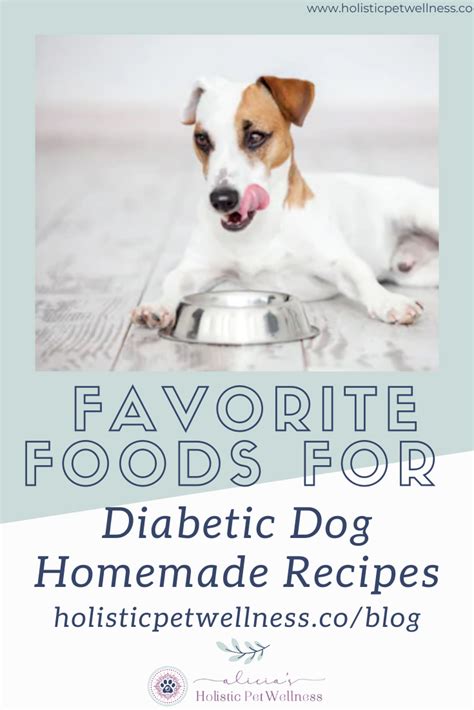 Diabetic Recipes For Dogs Diabetic Dog Food The Top 5 Best Dog Foods