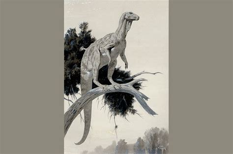 Scientists Have Traced What Dinosaur Dna Could Have Looked Like Natural History Museum