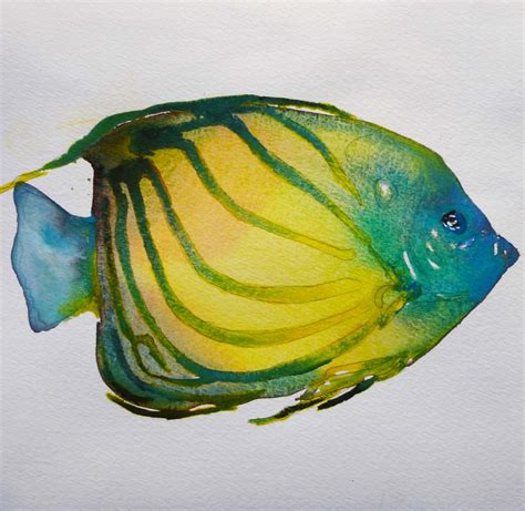 Tropical Fish Watercolor 75 X 75 2014 Watercolor Fish Fish