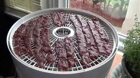 That alone saves hours since you don't have to wait for the marinade to soak into the meat. DEHYDRATION: Recipe and How To Make Beef Jerky from Ground Beef in NESCO... | Beef jerky ...