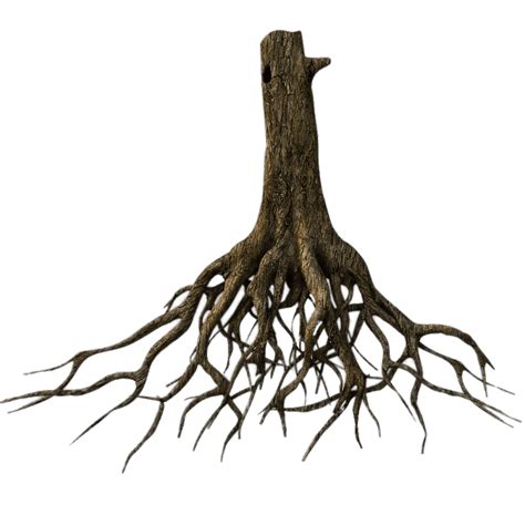 Transparent Tree Stump Png Roots Clipart Black And White Png Images