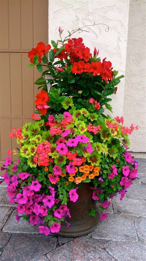 Stunning Summer Planter Ideas 50 Front Porch Flowers Porch Flowers