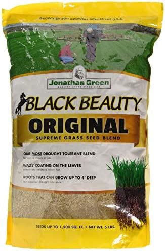 Jonathan Green Sons Lb Black Beauty Seed Pricepulse