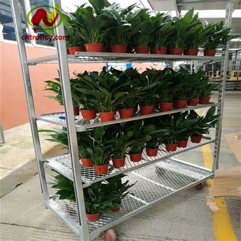 Maybe you would like to learn more about one of these? 8x8 greenhouse sale balcony greenhouse kit. - www ...