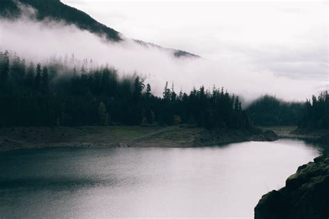 Free Images Landscape Sea Nature Forest Wilderness Cloud Fog