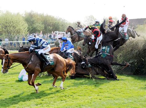 Grand National Horse Deaths At Aintree Racecourse Revealed In New