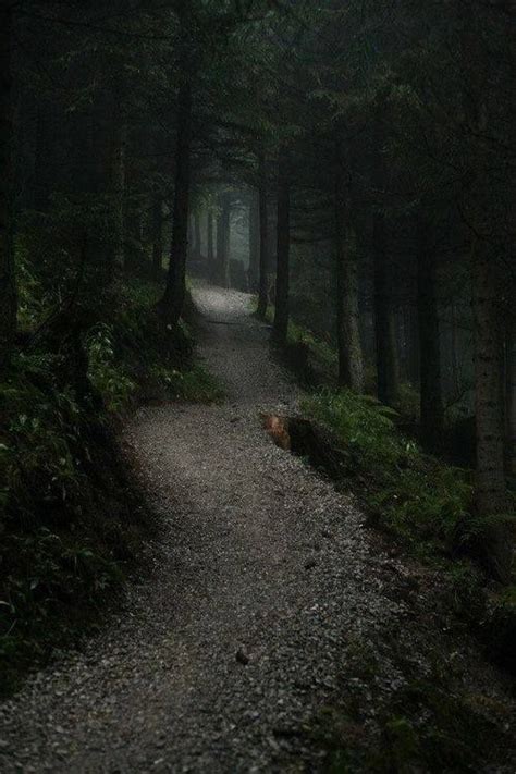 Dark Path In The Woods Dark Green Aesthetic Beautiful Nature Dark