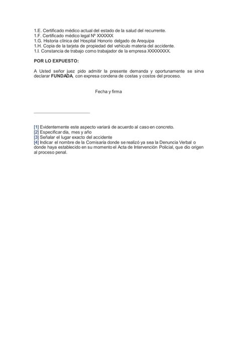 Demanda De Indemnización De Daños Y Perjuicios Por Responsabilidad