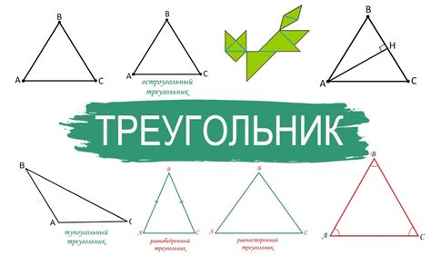 Треугольник и виды треугольников свойства сторон и углов треугольника