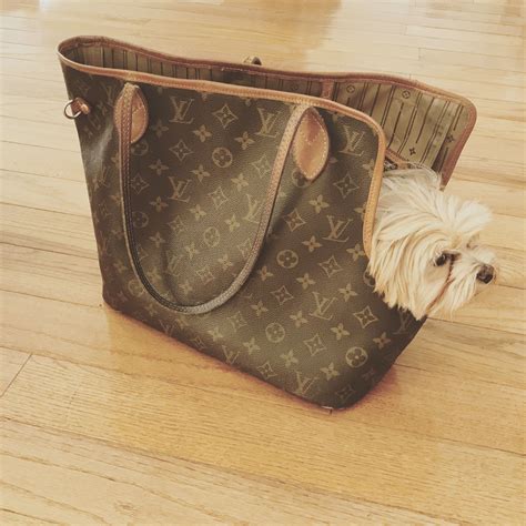Louis Vuitton Never Full Turned Into Dog Carrier Louis Vuitton Dog