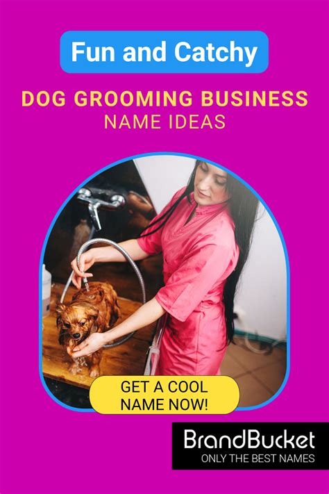 Pet Sitting Business Names 50 Pet Sitting Business Name Ideas