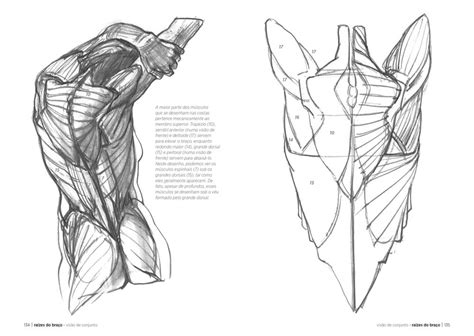 Anatomia artística de Michel Lauricella Editorial GG