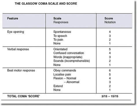 Glasgow Coma Scale Hot Sex Picture
