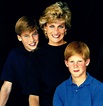 diana and her sons - Princess Diana Photo (21947391) - Fanpop