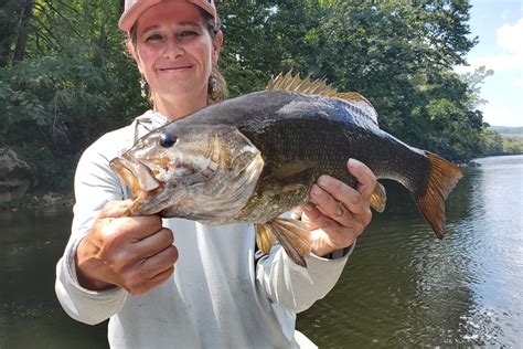 Guided Smallmouth Bass Trips Davidson River Outfitters