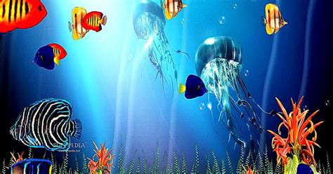 3d Sea Life Screensaver Wallpaper Image Wallpapers Hd