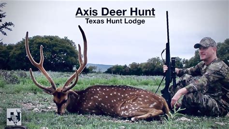 Texas Axis Deer Hunting Hunting A Big Axis Deer At Texas Hunt Lodge