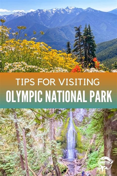 Tips For Visiting Olympic National Park And Mount Rainier In